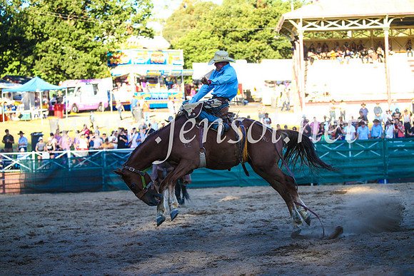CoomaRodeo2017_3491