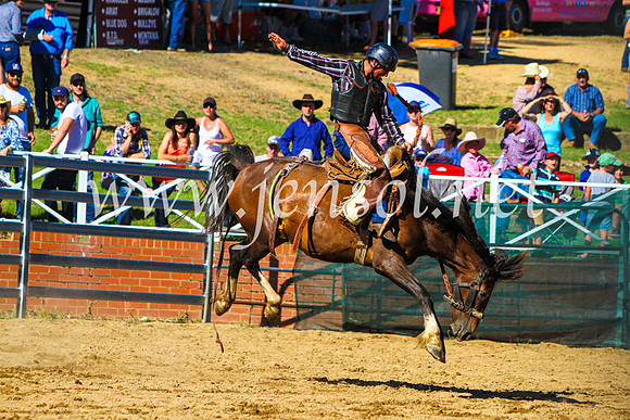 CoomaRodeo2017_9073