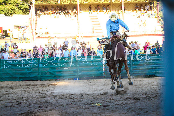CoomaRodeo2017_3480