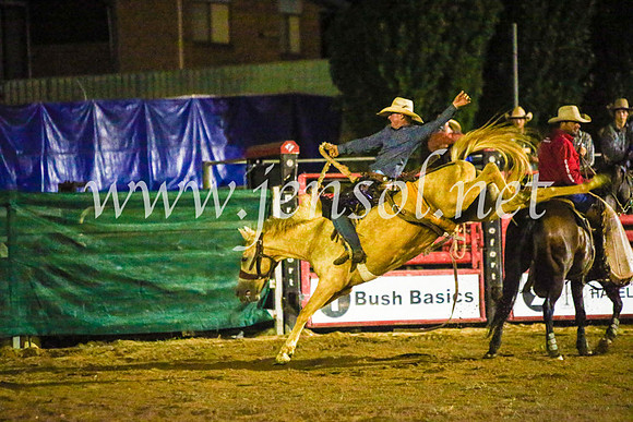 CoomaRodeo2017_4265