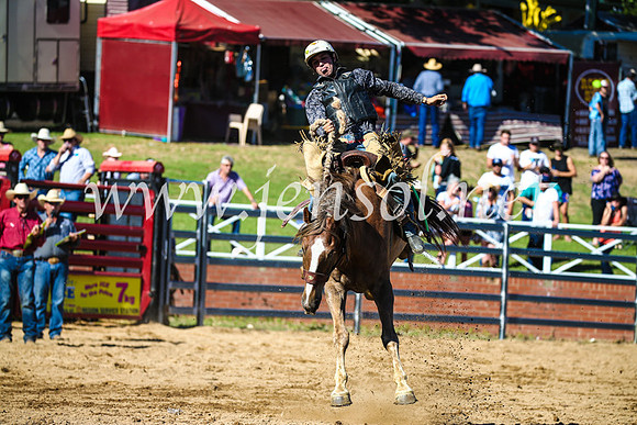 CoomaRodeo2017_2763
