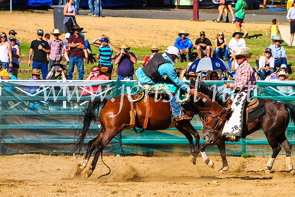 CoomaRodeo2017_9112