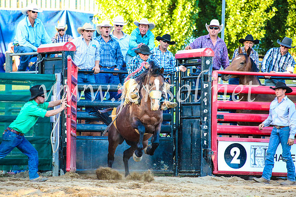 CoomaRodeo2017_5043