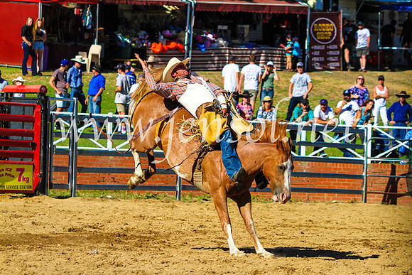 CoomaRodeo2017_9118