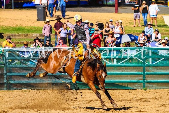 CoomaRodeo2017_9085
