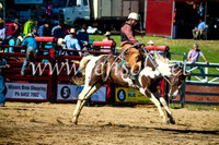CoomaRodeo2017_2021