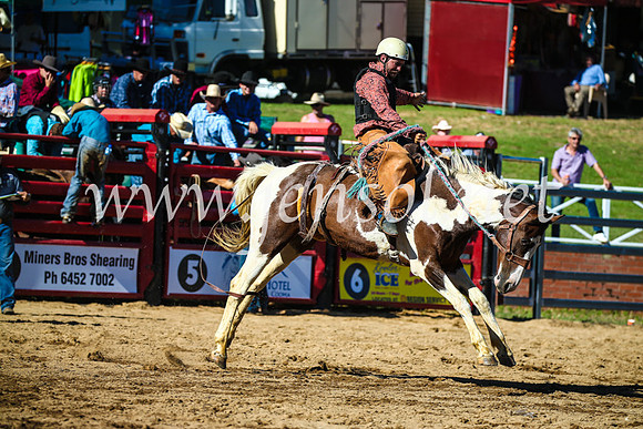 CoomaRodeo2017_2021