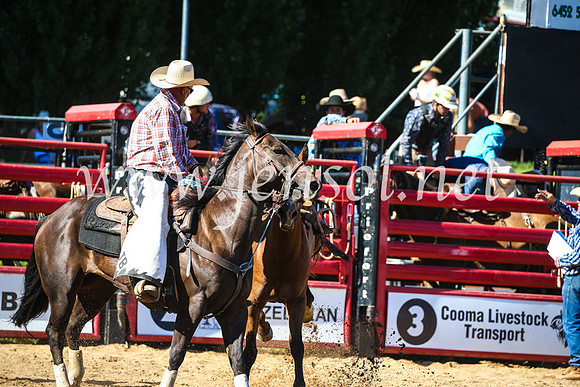 CoomaRodeo2017_2737