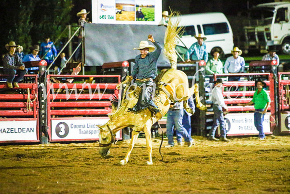 CoomaRodeo2017_4259