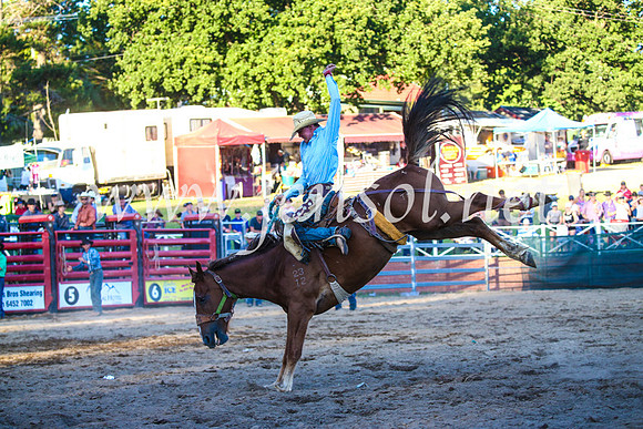 CoomaRodeo2017_3503