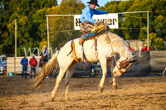 TumutRodeo2017_3058