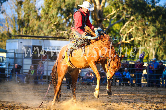 TumutRodeo2017_3204