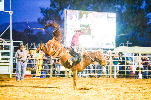 TumutRodeo2017_3609