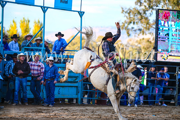 TumutRodeo2017_3246