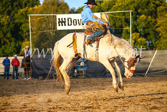 TumutRodeo2017_3057