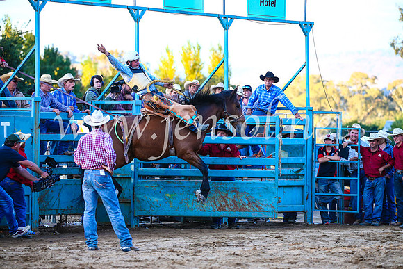 TumutRodeo2017_3320