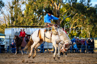 TumutRodeo2017_3029