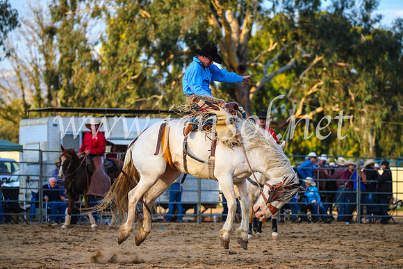 TumutRodeo2017_3029