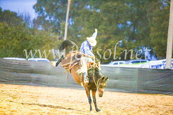 TumutRodeo2017_3597