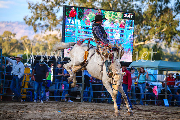 TumutRodeo2017_3262