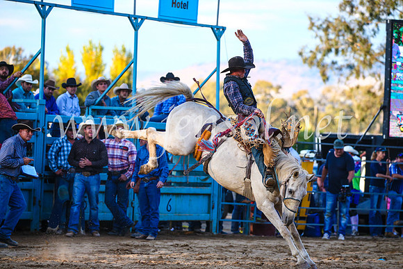 TumutRodeo2017_3248