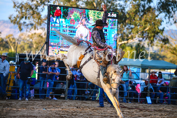 TumutRodeo2017_3263