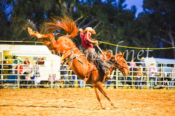 TumutRodeo2017_3613