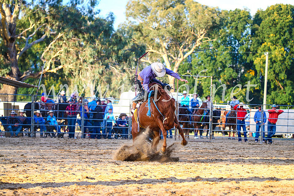 TumutRodeo2017_3135