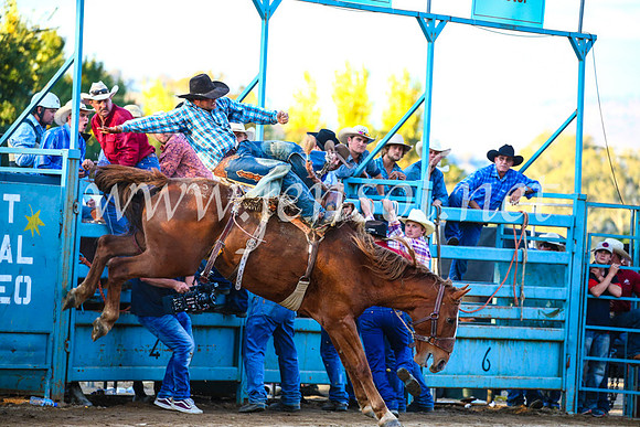 TumutRodeo2017_3220