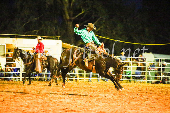 TumutRodeo2017_3759