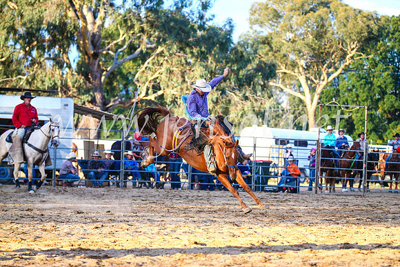 TumutRodeo2017_3139