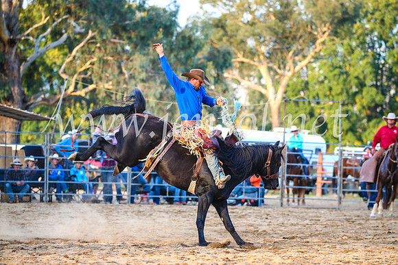 TumutRodeo2017_3289