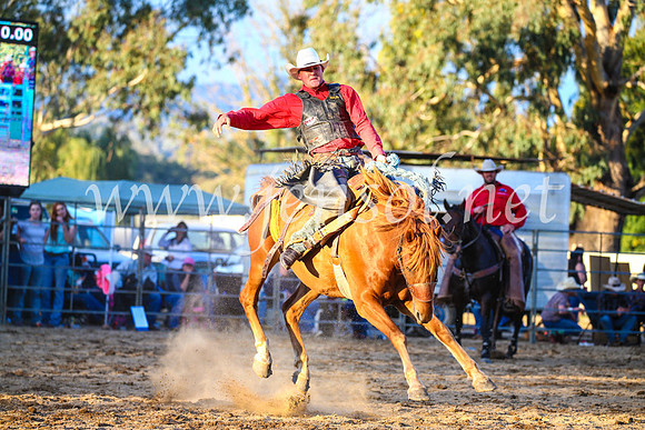 TumutRodeo2017_3191