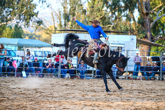 TumutRodeo2017_3285