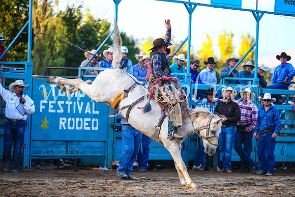 TumutRodeo2017_3236