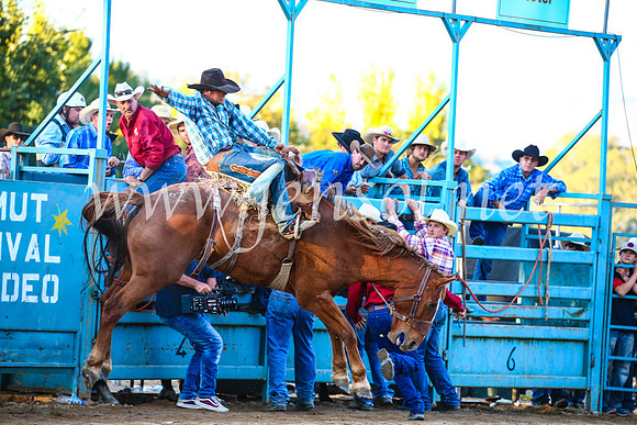 TumutRodeo2017_3221