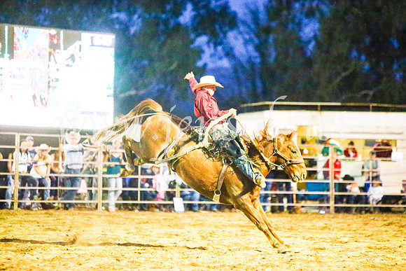 TumutRodeo2017_3621
