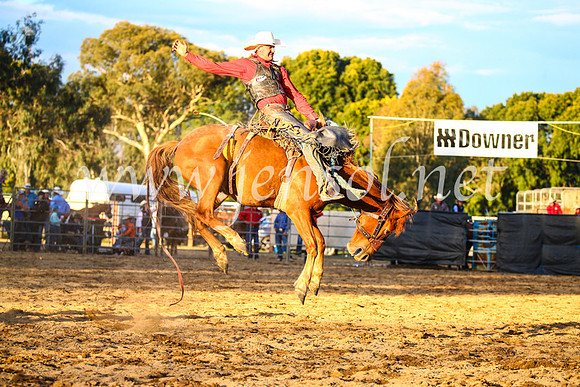 TumutRodeo2017_3210