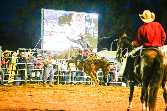 TumutRodeo2017_3687
