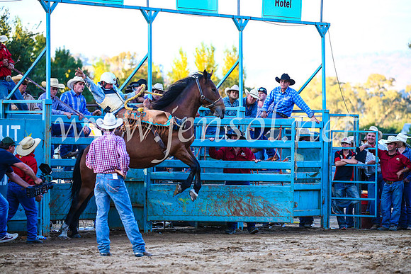 TumutRodeo2017_3319
