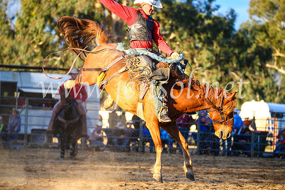 TumutRodeo2017_3193