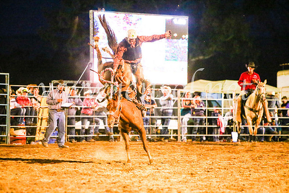 TumutRodeo2017_3731
