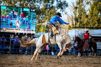 TumutRodeo2017_3036