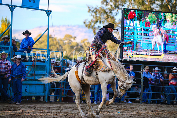 TumutRodeo2017_3247