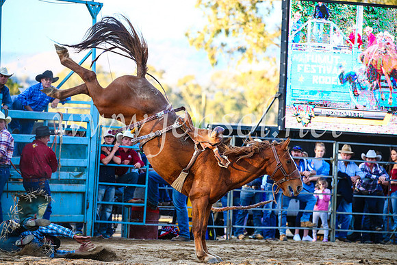TumutRodeo2017_3224