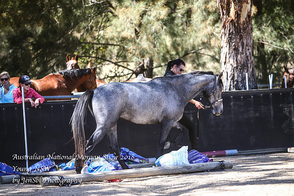 ANMS2018_3261