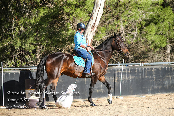 ANMS2018_3549