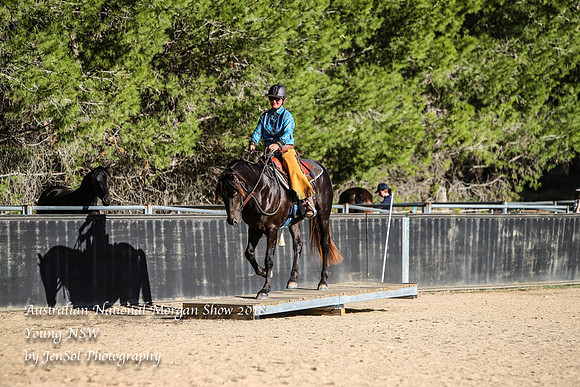 ANMS2018_3519