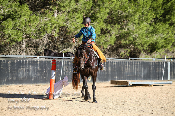 ANMS2018_3504