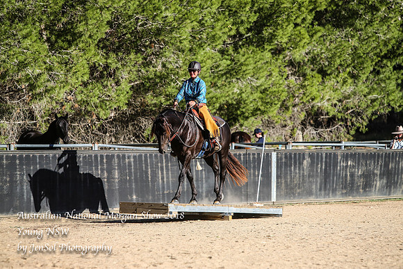 ANMS2018_3517